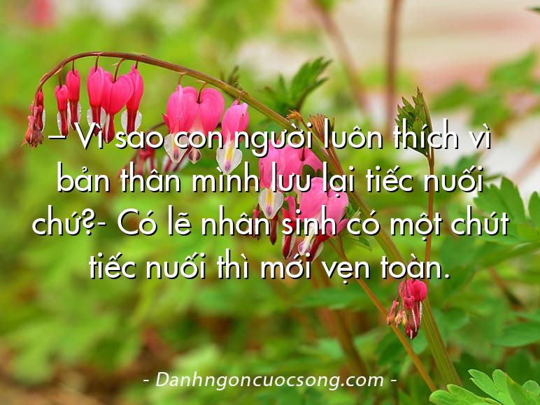 – Vì sao con người luôn thích vì bản thân mình lưu lại tiếc nuối chứ?- Có lẽ nhân sinh có một chút tiếc nuối thì mới vẹn toàn.