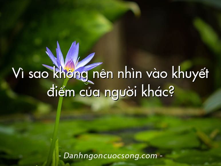 Vì sao không nên nhìn vào khuyết điểm của người khác?