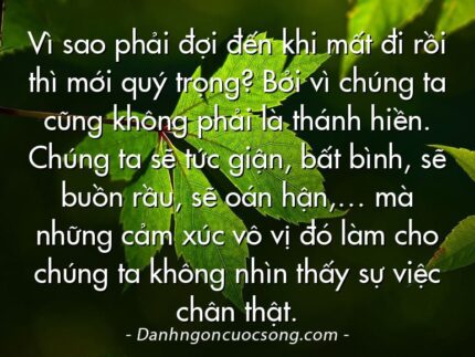 Vì sao phải đợi đến khi mất đi rồi thì mới quý trọng? Bởi vì chúng ta cũng không phải là thánh hiền. Chúng ta sẽ tức giận, bất bình, sẽ buồn rầu, sẽ oán hận,… mà những cảm xúc vô vị đó làm cho chúng ta không nhìn thấy sự việc chân thật.