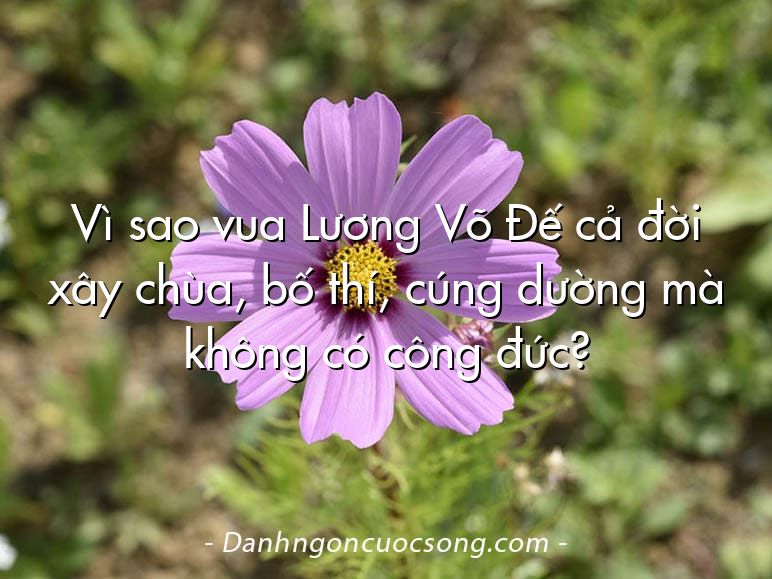 Vì sao vua Lương Võ Đế cả đời xây chùa, bố thí, cúng dường mà không có công đức?