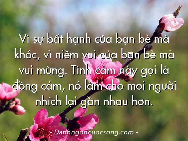 Vì sự bất hạnh của bạn bè mà khóc, vì niềm vui của bạn bè mà vui mừng. Tình cảm này gọi là đồng cảm, nó làm cho mọi người nhích lại gần nhau hơn.