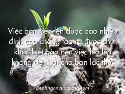 Việc bạn trèo lên được bao nhiêu đỉnh cao chẳng tạo ra được chút khác biệt nào nếu việc leo lên không đem lại cho bạn lạc thú.