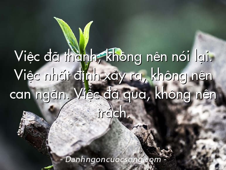 Việc đã thành, không nên nói lại. Việc nhất định xảy ra, không nên can ngăn. Việc đã qua, không nên trách.