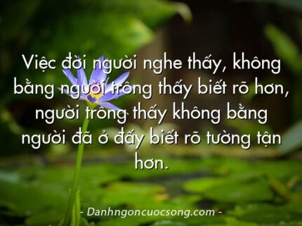 Việc đời người nghe thấy, không bằng người trông thấy biết rõ hơn, người trông thấy không bằng người đã ở đấy biết rõ tường tận hơn.