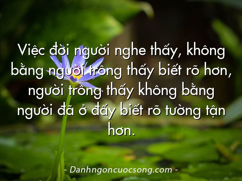 Việc đời người nghe thấy, không bằng người trông thấy biết rõ hơn, người trông thấy không bằng người đã ở đấy biết rõ tường tận hơn.