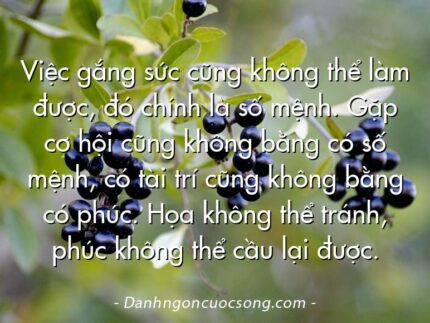 Việc gắng sức cũng không thể làm được, đó chính là số mệnh. Gặp cơ hội cũng không bằng có số mệnh, có tài trí cũng không bằng có phúc. Họa không thể tránh, phúc không thể cầu lại được.