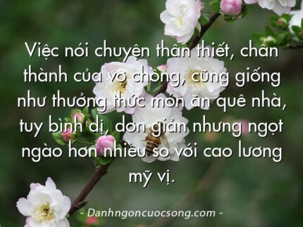 Việc nói chuyện thân thiết, chân thành của vợ chồng, cũng giống như thưởng thức món ăn quê nhà, tuy bình dị, dơn giản nhưng ngọt ngào hơn nhiều so với cao lương mỹ vị.