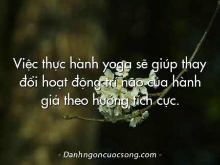 Việc thực hành yoga sẽ giúp thay đổi hoạt động trí não của hành giả theo hướng tích cực.