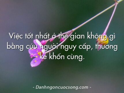 Việc tốt nhất ở thế gian không gì bằng cứu người nguy cấp, thương kẻ khốn cùng.