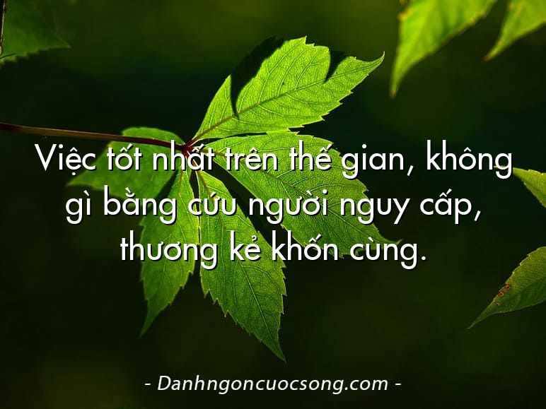Việc tốt nhất trên thế gian, không gì bằng cứu người nguy cấp, thương kẻ khốn cùng.