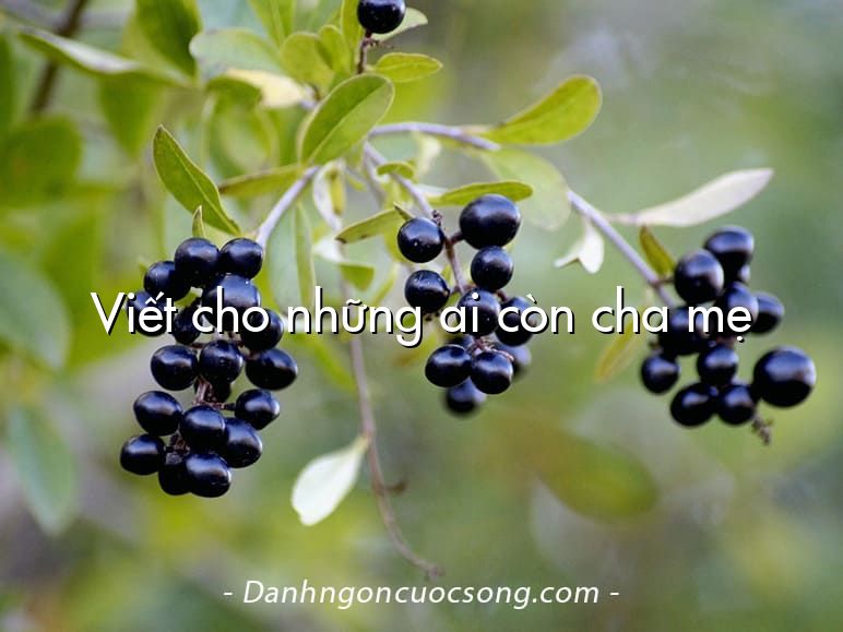 Viết cho những ai còn cha mẹ