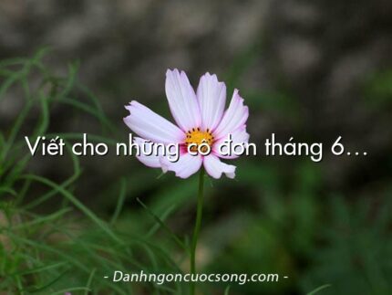 Viết cho những cô đơn tháng 6…