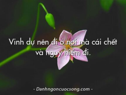 Vinh dự nên đi ở nơi mà cái chết và nguy hiểm đi.