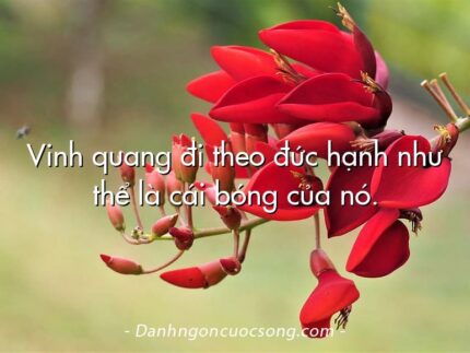 Vinh quang đi theo đức hạnh như thể là cái bóng của nó.