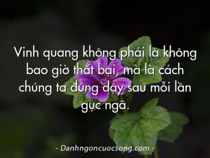 Vinh quang không phải là không bao giờ thất bại, mà là cách chúng ta đứng dậy sau mỗi lần gục ngã.