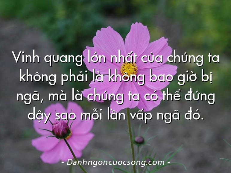 Vinh quang lớn nhất của chúng ta không phải là không bao giờ bị ngã, mà là chúng ta có thể đứng dậy sao mỗi lần vấp ngã đó.