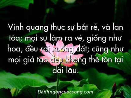 Vinh quang thực sự bắt rễ, và lan tỏa; mọi sự làm ra vẻ, giống như hoa, đều rơi xuống đất; cũng như mọi giả tạo đều không thể tồn tại dài lâu.