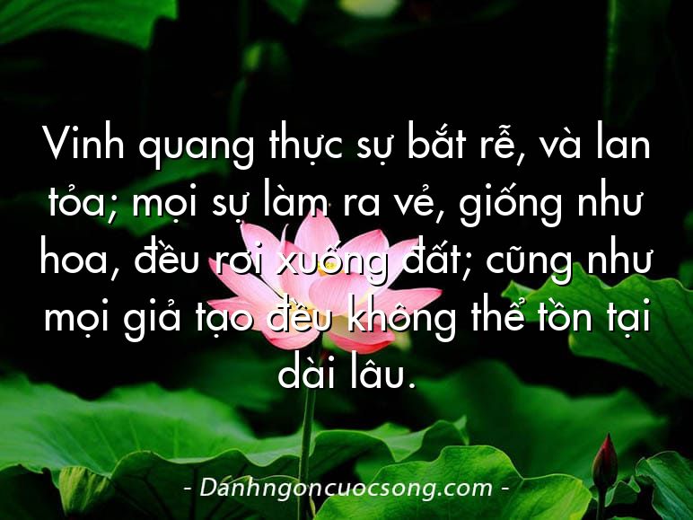 Vinh quang thực sự bắt rễ, và lan tỏa; mọi sự làm ra vẻ, giống như hoa, đều rơi xuống đất; cũng như mọi giả tạo đều không thể tồn tại dài lâu.