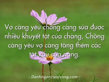 Vợ càng yêu chồng càng sửa được nhiều khuyết tật của chàng, Chồng càng yêu vợ càng tăng thêm các tật xấu của nàng.
