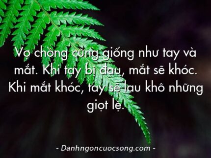 Vợ chồng cũng giống như tay và mắt. Khi tay bị đau, mắt sẽ khóc. Khi mắt khóc, tay sẽ lau khô những giọt lệ.