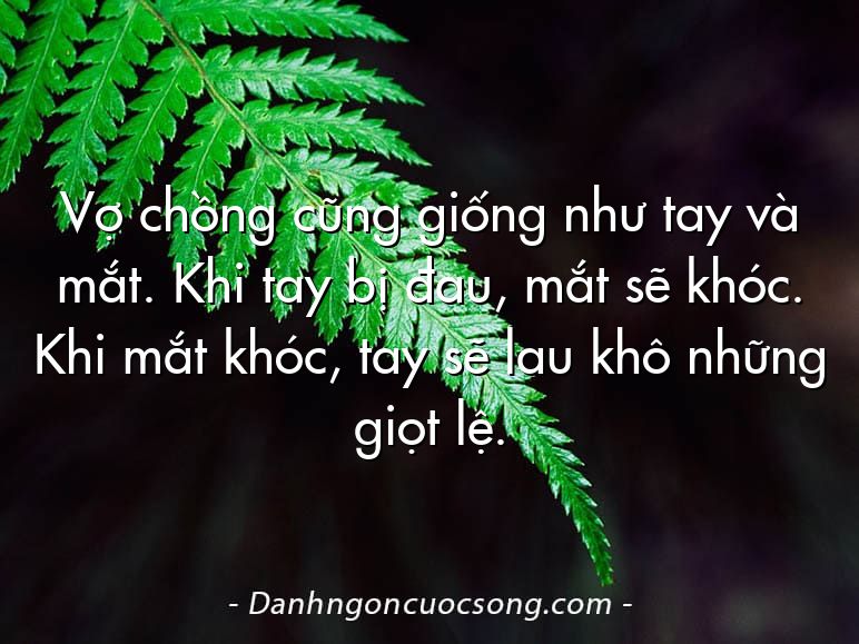 Vợ chồng cũng giống như tay và mắt. Khi tay bị đau, mắt sẽ khóc. Khi mắt khóc, tay sẽ lau khô những giọt lệ.