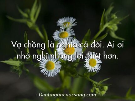 Vợ chồng là nghĩa cả đời. Ai ơi nhớ nghĩ những lời thiệt hơn.