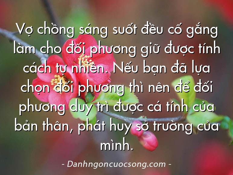 Vợ chồng sáng suốt đều cố gắng làm cho đối phương giữ được tính cách tự nhiên. Nếu bạn đã lựa chọn đối phương thì nên để đối phương duy trì được cá tính của bản thân, phát huy sở trường của mình.