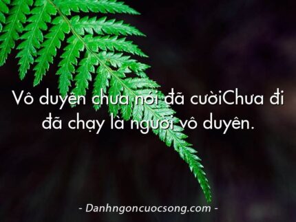 Vô duyên chưa nói đã cườiChưa đi đã chạy là người vô duyên.