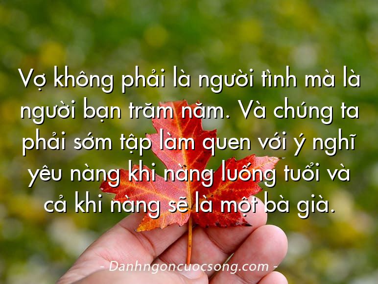 Vợ không phải là người tình mà là người bạn trăm năm. Và chúng ta phải sớm tập làm quen với ý nghĩ yêu nàng khi nàng luống tuổi và cả khi nàng sẽ là một bà già.