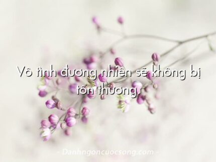 Vô tình đương nhiên sẽ không bị tổn thương.