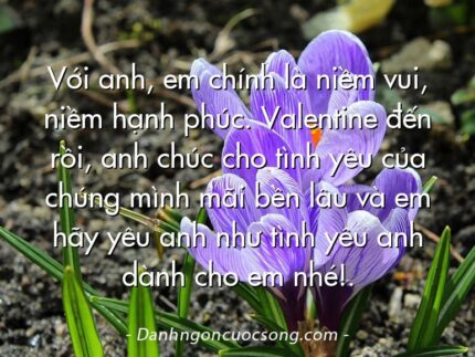 Với anh, em chính là niềm vui, niềm hạnh phúc. Valentine đến rồi, anh chúc cho tình yêu của chúng mình mãi bền lâu và em hãy yêu anh như tình yêu anh dành cho em nhé!.