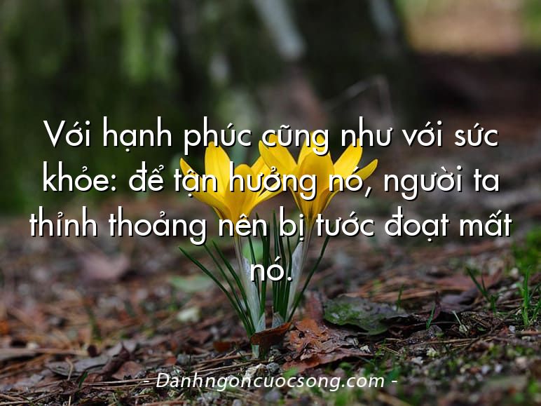 Với hạnh phúc cũng như với sức khỏe: để tận hưởng nó, người ta thỉnh thoảng nên bị tước đoạt mất nó.