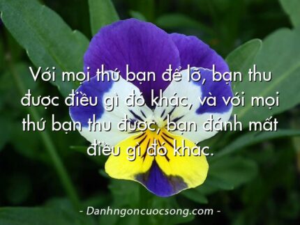 Với mọi thứ bạn để lỡ, bạn thu được điều gì đó khác, và với mọi thứ bạn thu được, bạn đánh mất điều gì đó khác.