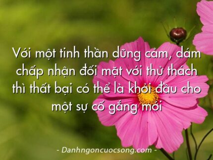Với một tinh thần dũng cảm, dám chấp nhận đối mặt với thử thách thì thất bại có thể là khởi đầu cho một sự cố gắng mới