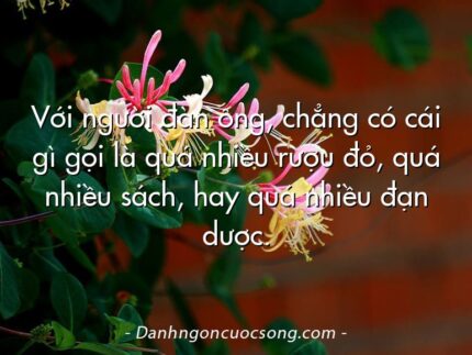 Với người đàn ông, chẳng có cái gì gọi là quá nhiều rượu đỏ, quá nhiều sách, hay quá nhiều đạn dược.