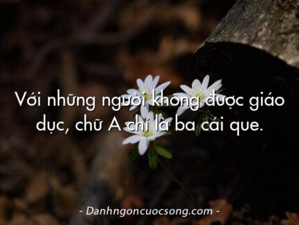 Với những người không được giáo dục, chữ A chỉ là ba cái que.
