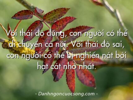 Với thái độ đúng, con người có thể di chuyển cả núi. Với thái độ sai, con người có thể bị nghiến nát bởi hạt cát nhỏ nhất.