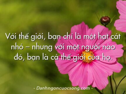 Với thế giới, bạn chỉ là một hạt cát nhỏ – nhưng với một người nào đó, bạn là cả thế giới của họ.