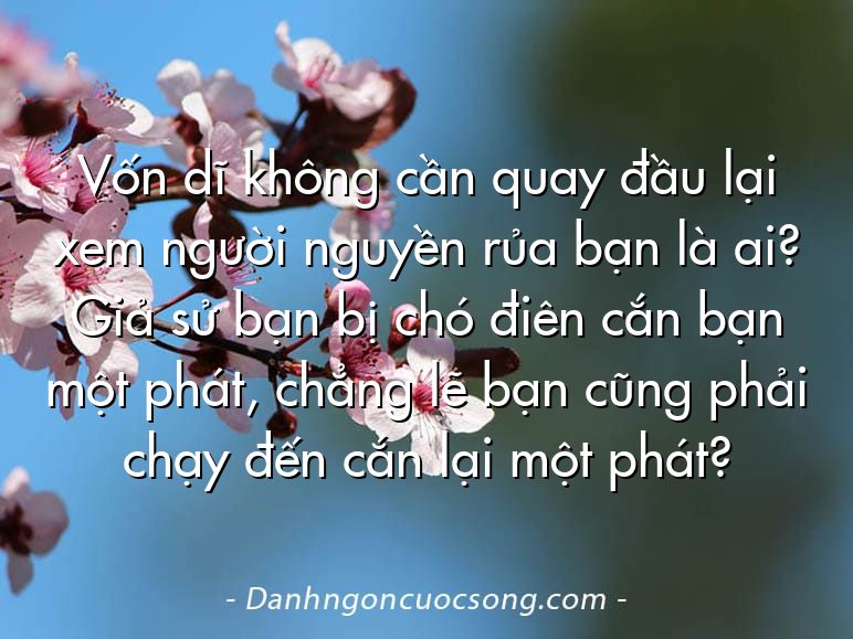 Vốn dĩ không cần quay đầu lại xem người nguyền rủa bạn là ai? Giả sử bạn bị chó điên cắn bạn một phát, chẳng lẽ bạn cũng phải chạy đến cắn lại một phát?