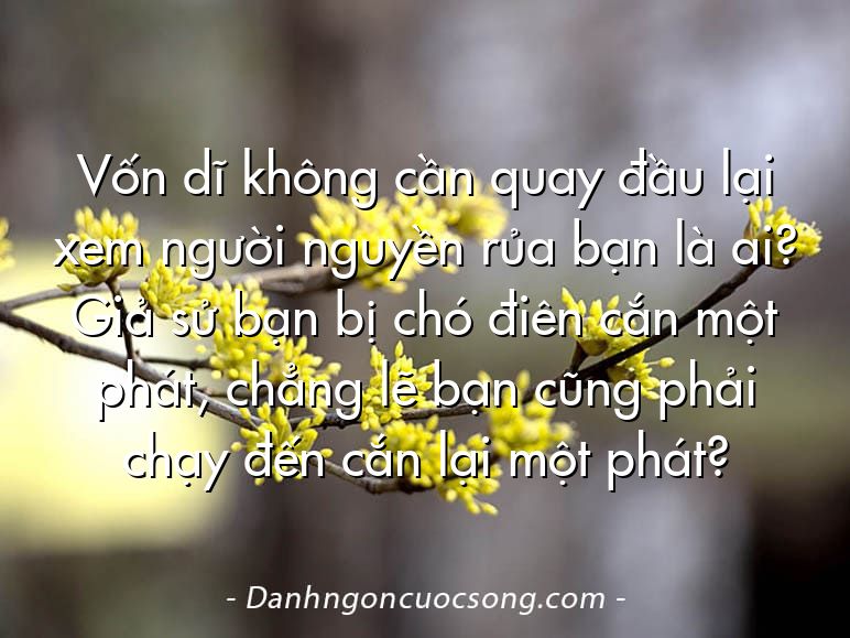 Vốn dĩ không cần quay đầu lại xem người nguyền rủa bạn là ai? Giả sử bạn bị chó điên cắn một phát, chẳng lẽ bạn cũng phải chạy đến cắn lại một phát?