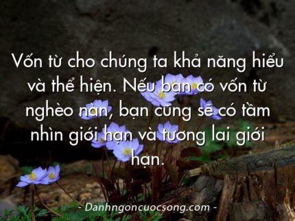 Vốn từ cho chúng ta khả năng hiểu và thể hiện. Nếu bạn có vốn từ nghèo nàn, bạn cũng sẽ có tầm nhìn giới hạn và tương lai giới hạn.