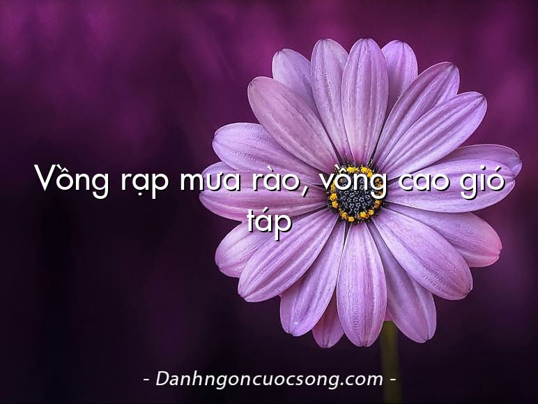Vồng rạp mưa rào, vồng cao gió táp