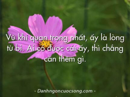 Vũ khí quan trọng nhất, ấy là lòng từ bi. Ai có được cái ấy, thì chẳng cần thêm gì.