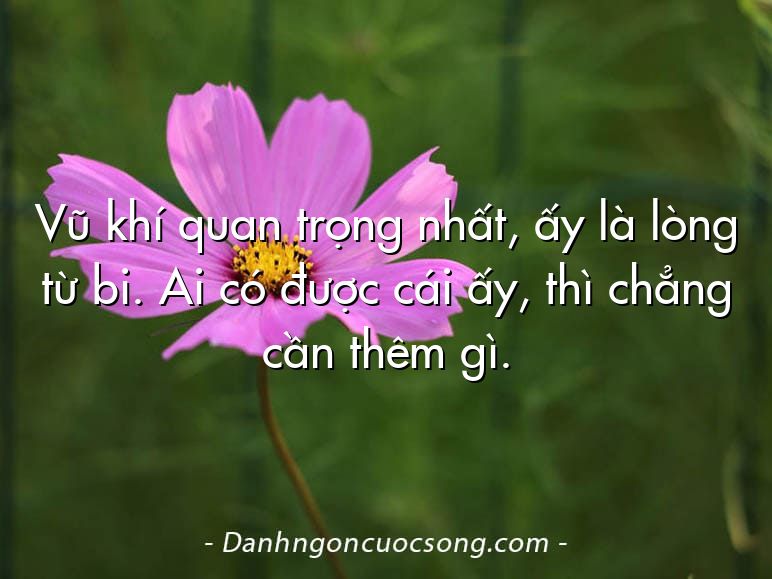 Vũ khí quan trọng nhất, ấy là lòng từ bi. Ai có được cái ấy, thì chẳng cần thêm gì.