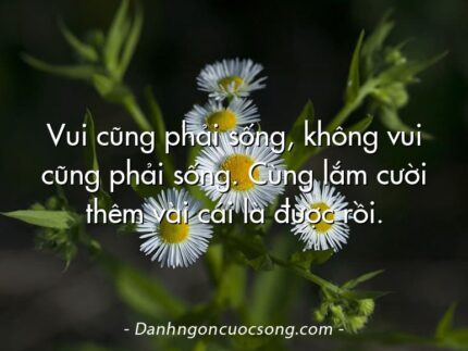 Vui cũng phải sống, không vui cũng phải sống. Cùng lắm cười thêm vài cái là được rồi.
