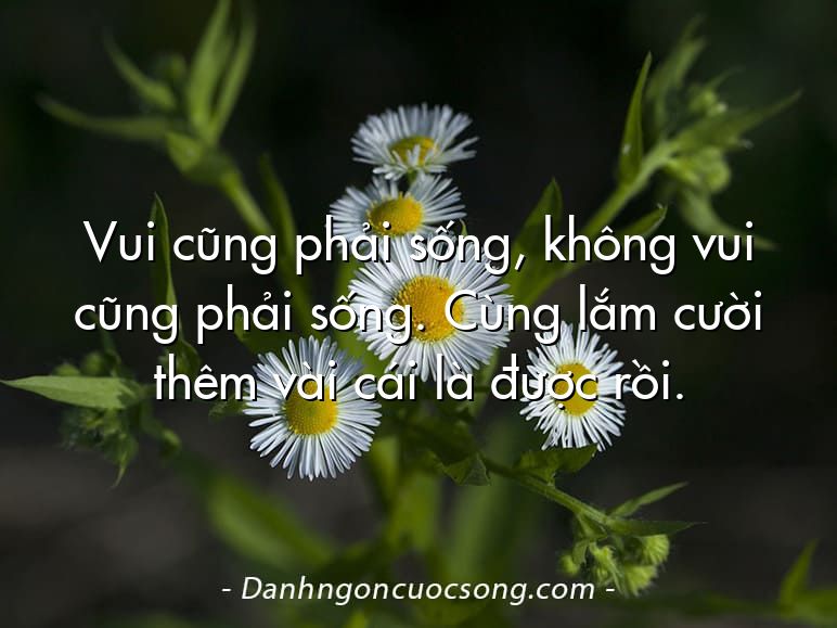Vui cũng phải sống, không vui cũng phải sống. Cùng lắm cười thêm vài cái là được rồi.