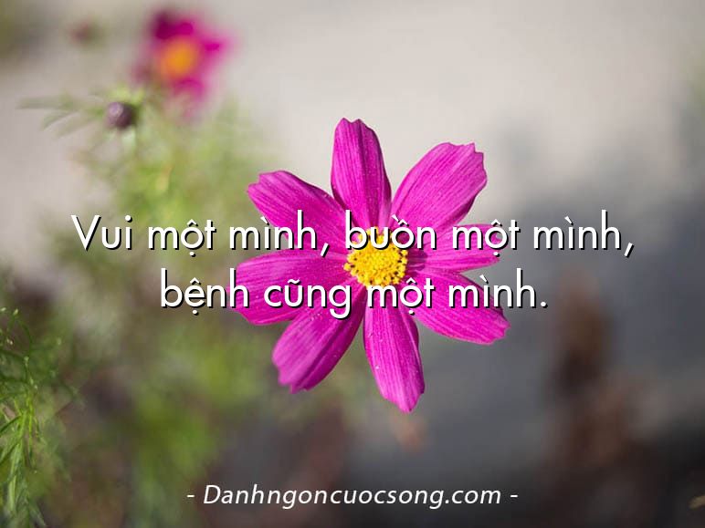 Vui một mình, buồn một mình, bệnh cũng một mình.