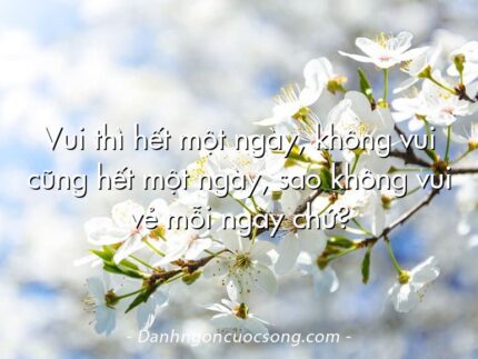 Vui thì hết một ngày, không vui cũng hết một ngày, sao không vui vẻ mỗi ngày chứ?
