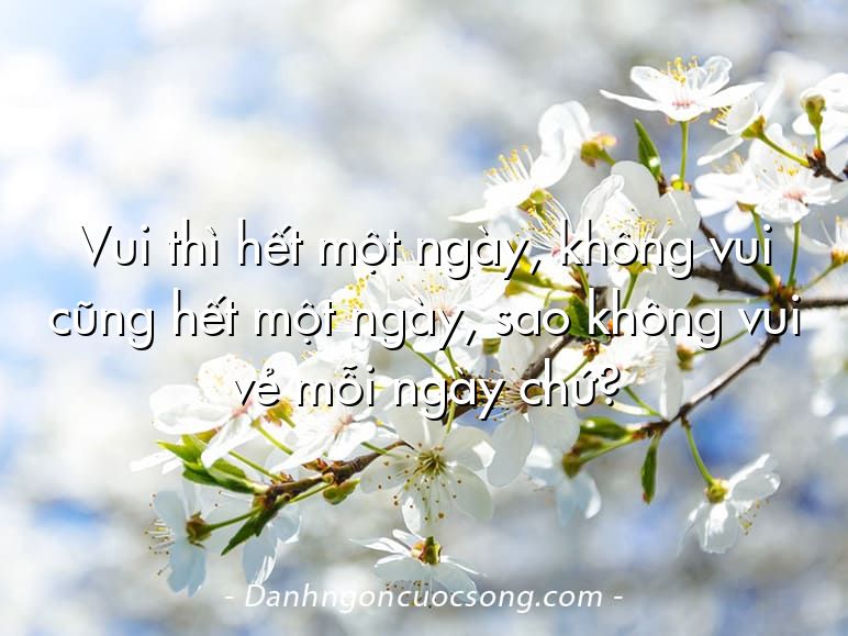 Vui thì hết một ngày, không vui cũng hết một ngày, sao không vui vẻ mỗi ngày chứ?