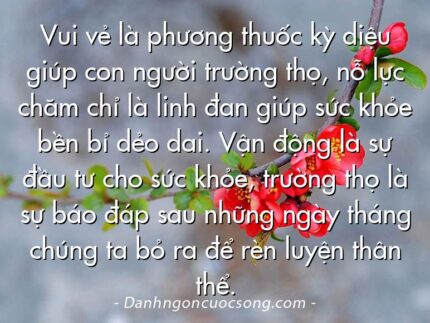 Vui vẻ là phương thuốc kỳ diệu giúp con người trường thọ, nỗ lực chăm chỉ là linh đan giúp sức khỏe bền bỉ dẻo dai. Vận động là sự đầu tư cho sức khỏe, trường thọ là sự báo đáp sau những ngày tháng chúng ta bỏ ra để rèn luyện thân thể.